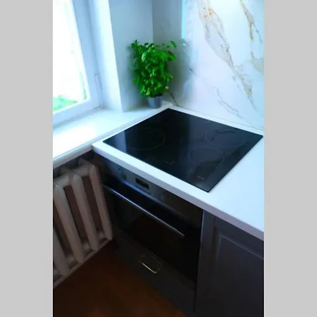 公寓 With Charm In Old Town 派尔努